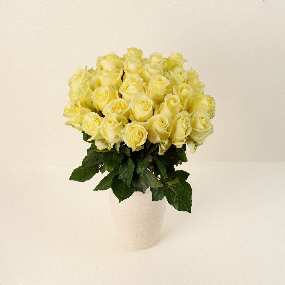 Bella Donna roses, front view in vase