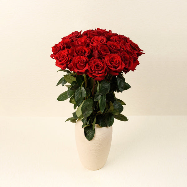 Bella Red roses, front view in vase