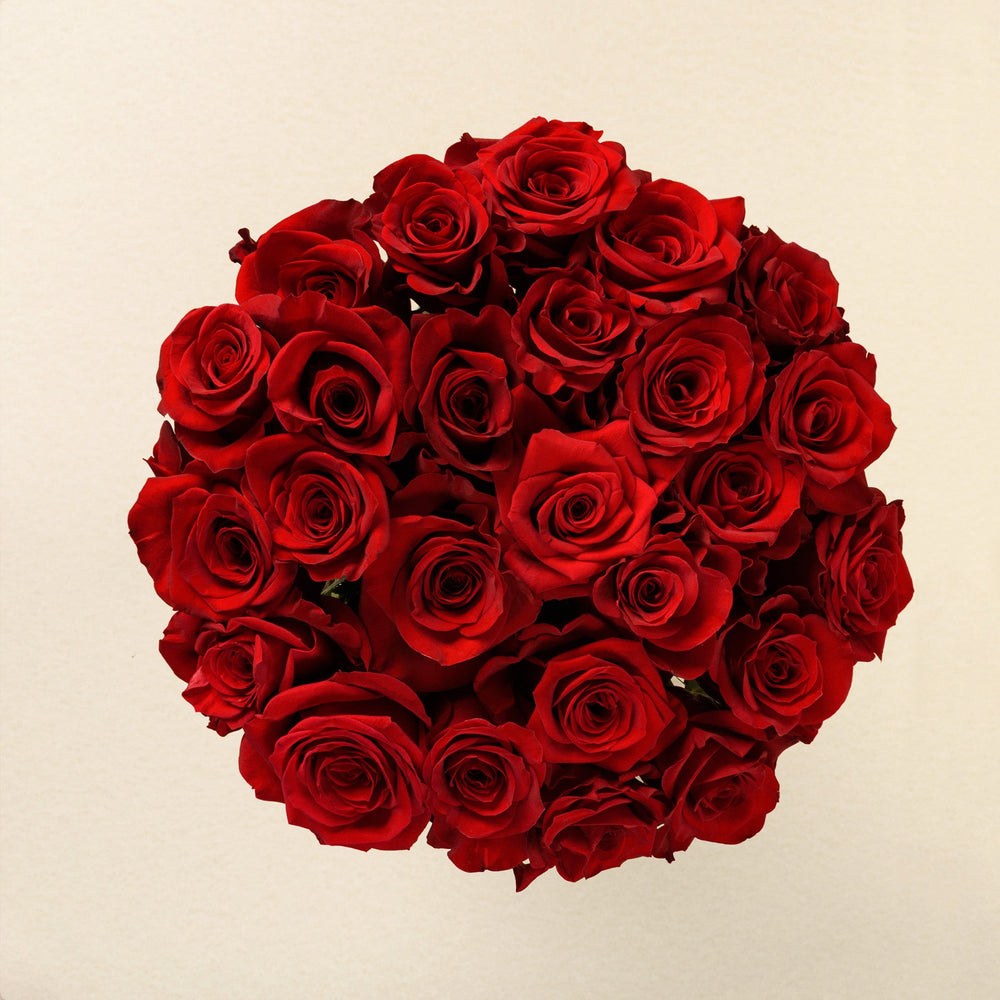 Bella Red roses, top view