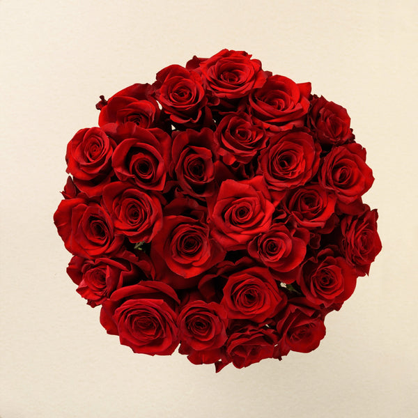 Bella Red roses, top view