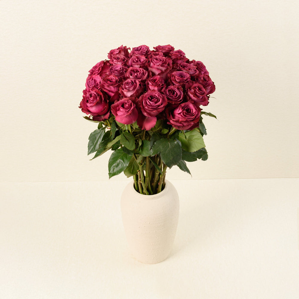 Blueberry roses, front view in vase