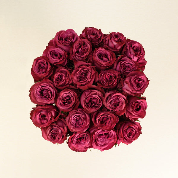 Blueberry roses, top view