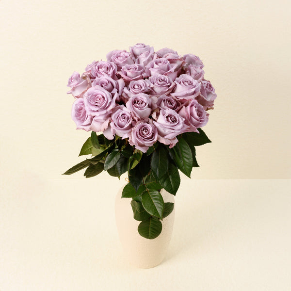 Cool Down roses, front view in vase