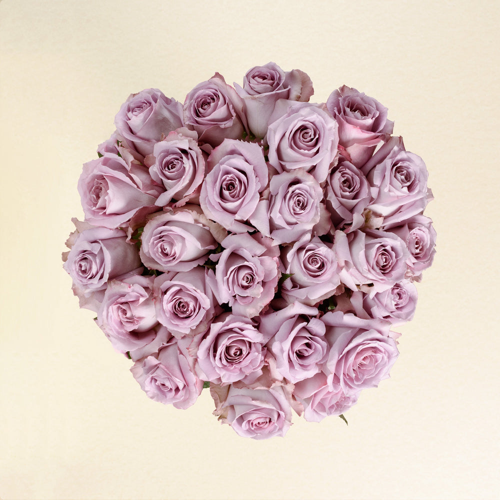 Cool Down roses, top view