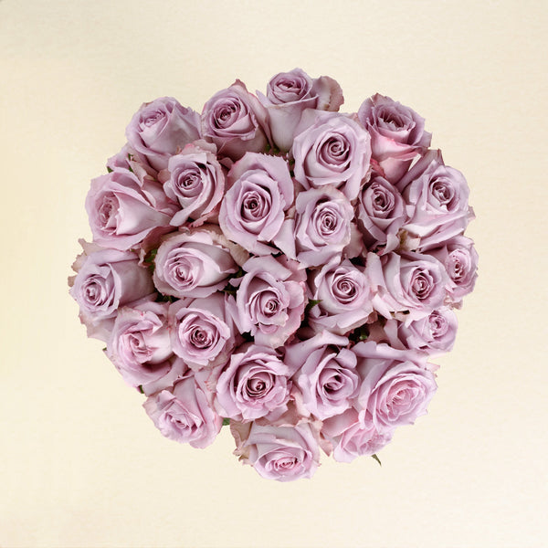 Cool Down roses, top view