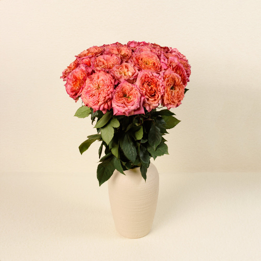 Country Aquarell roses, front view in vase