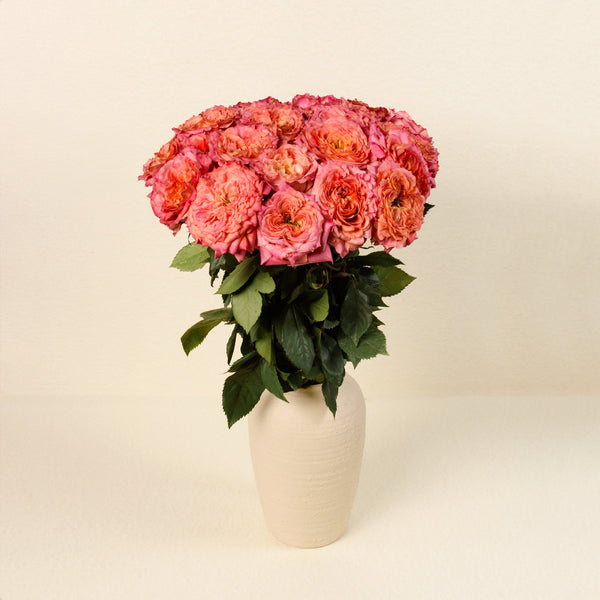 Country Aquarell roses, front view in vase
