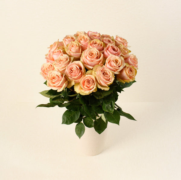 Desert Rose roses, front view in vase