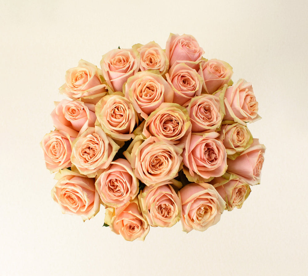 Desert Rose roses, top view