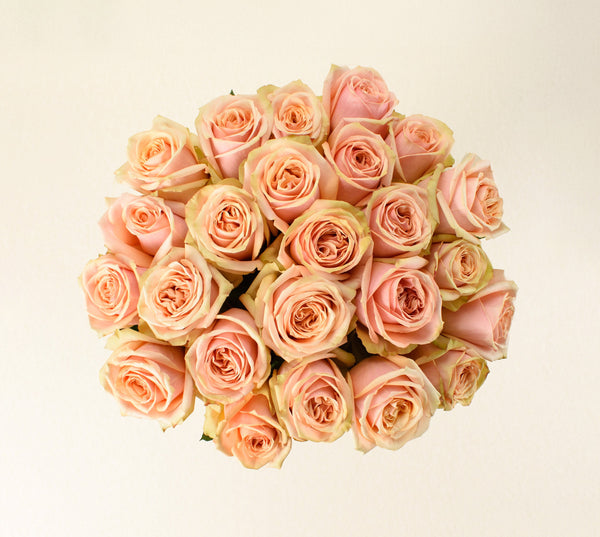 Desert Rose roses, top view