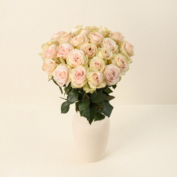 Happy Bride roses, front view in vase