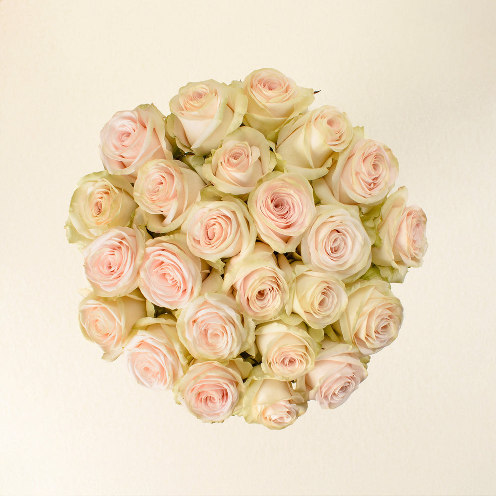 Happy Bride roses, top view