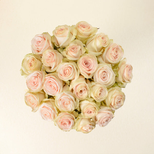Happy Bride roses, top view