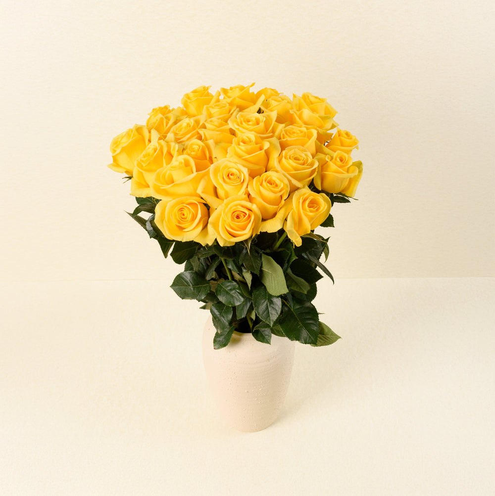 Momentum roses, front view in vase