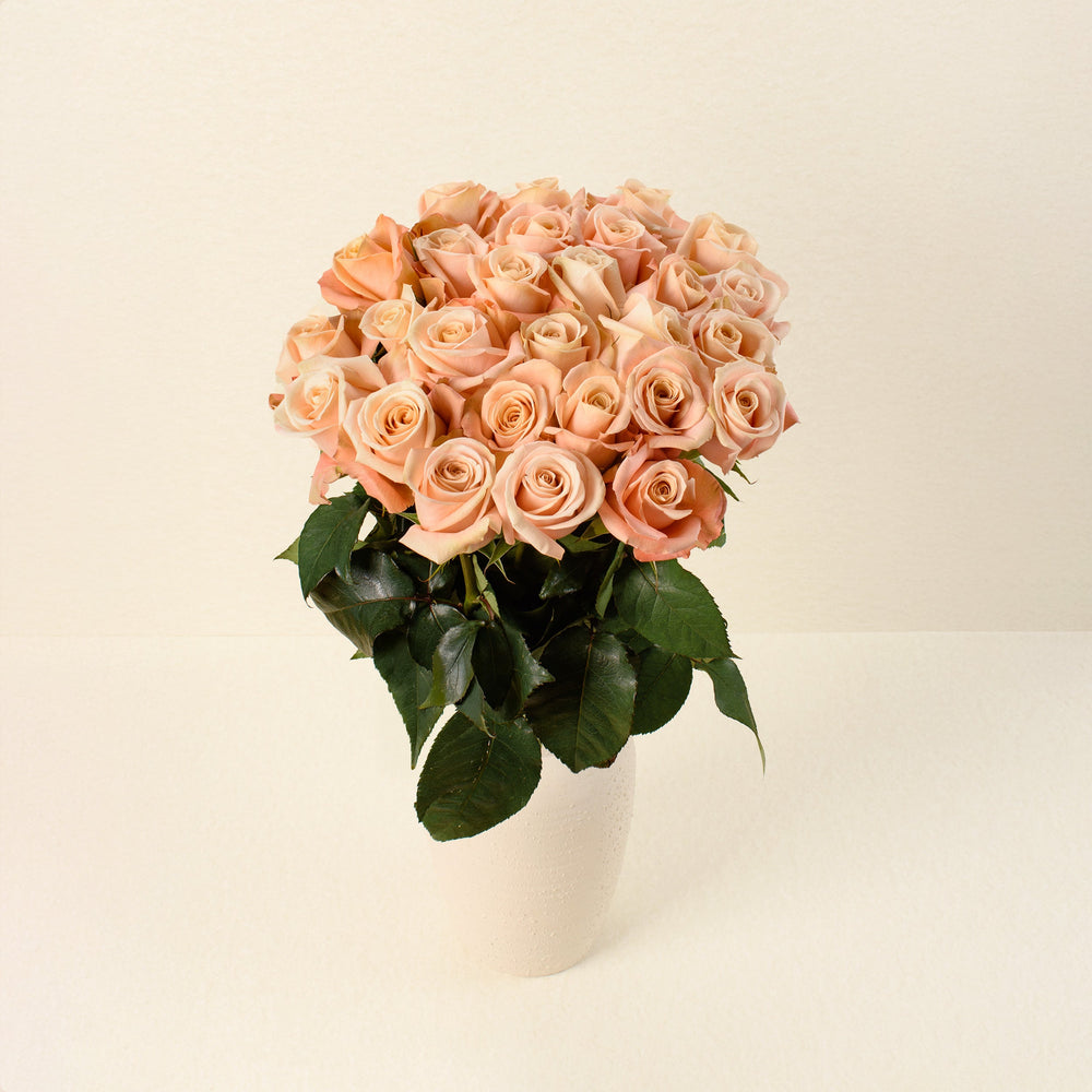 Ocean Mist roses, front view in vase