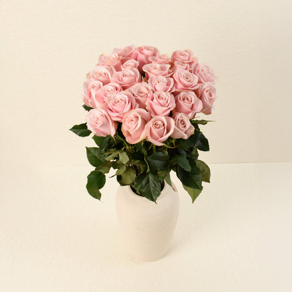 Pinky Promise roses, front view in vase
