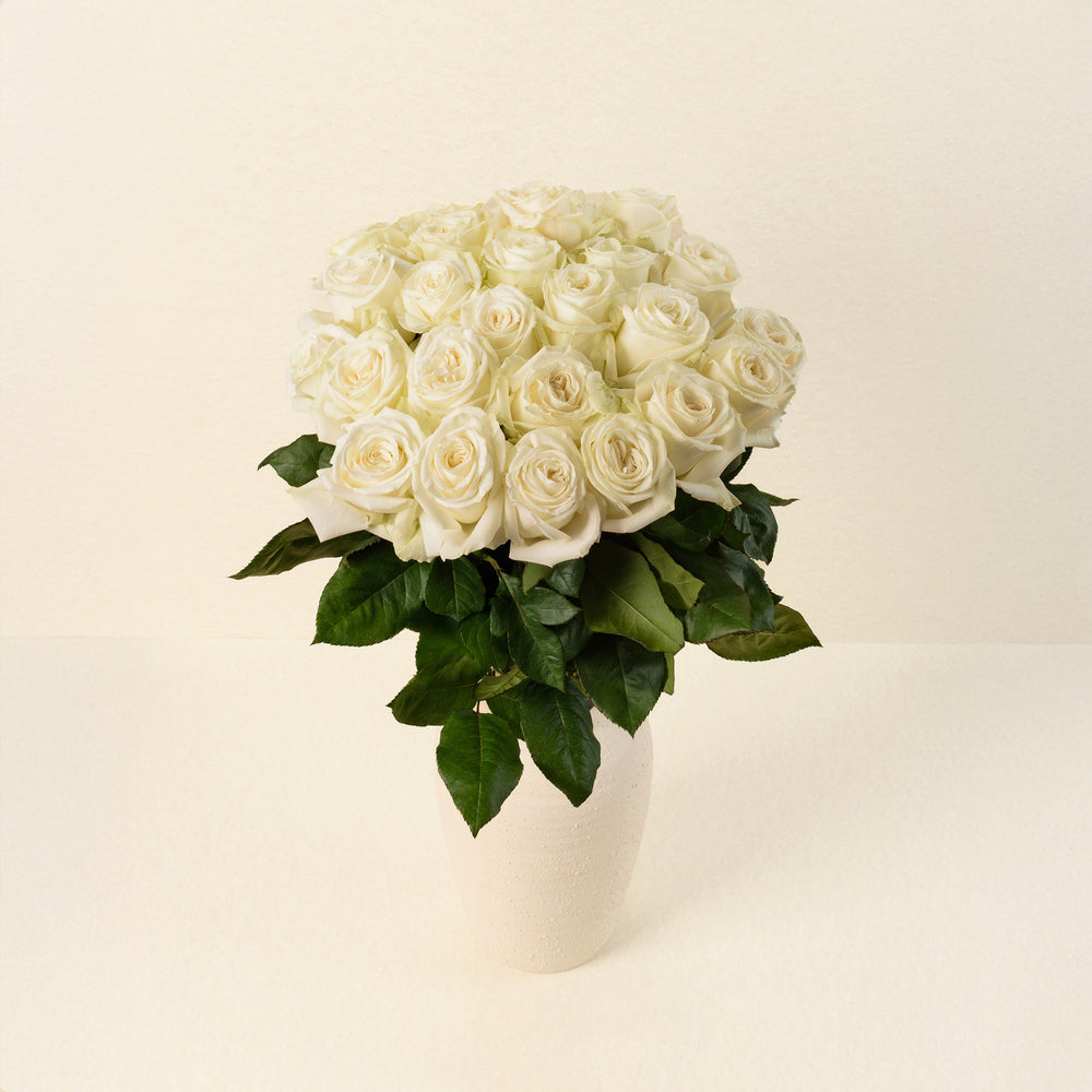 Playa Blanca roses, front view in vase