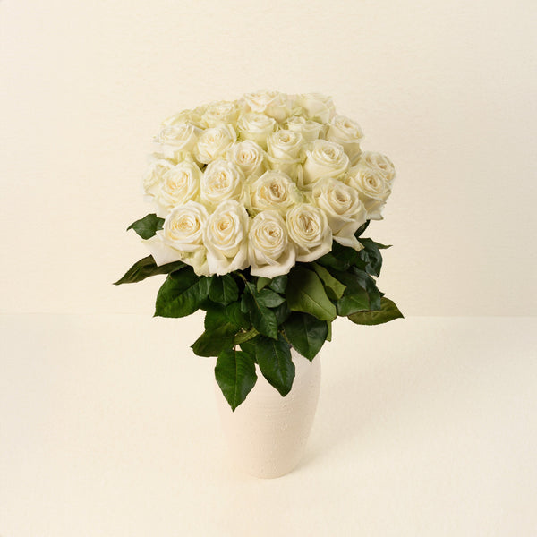Playa Blanca roses, front view in vase