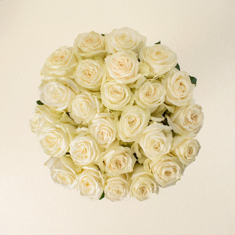 Playa Blanca roses, top view