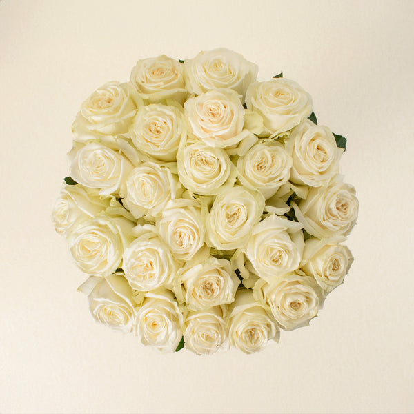 Playa Blanca roses, top view