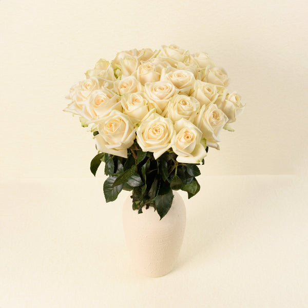 Soul roses, front view in vase