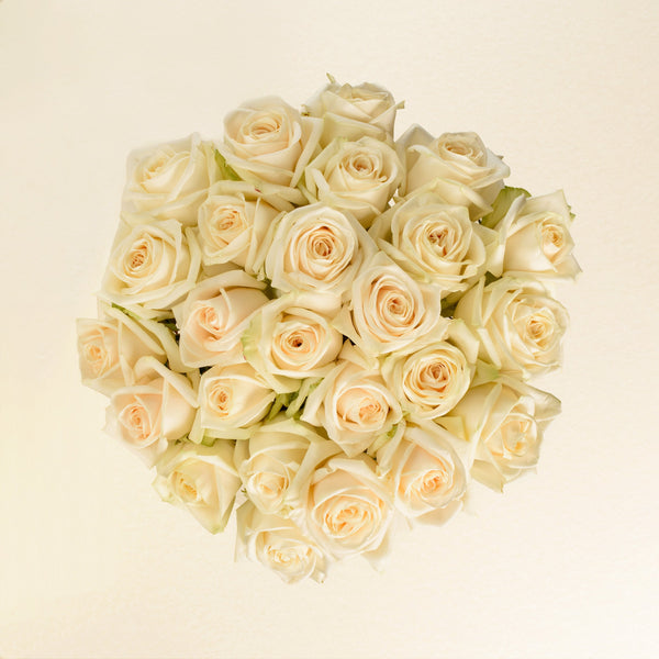 Soul roses, top view