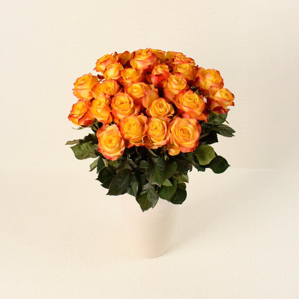 Summerlight roses, front view in vase
