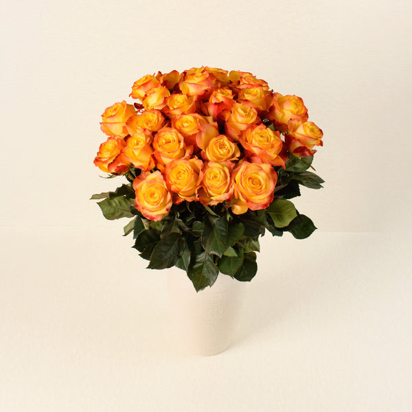 Summerlight roses, front view in vase
