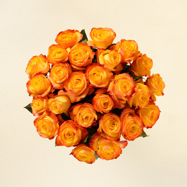 Summerlight roses, top view