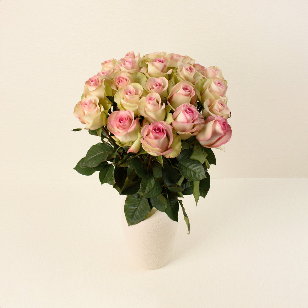 Swan roses, front view in vase